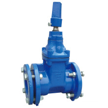 Awwa C515/509 Flanged Resilient Gate Valve with Nut Operator